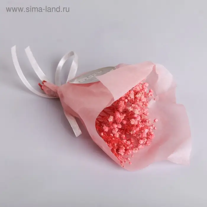 Букет из сухоцветов Shine bright, 13×21×5 см Букет из сухоцветов Shine bright, 13×21×5 см