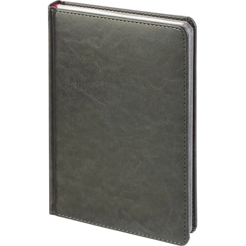 Ежедневник недатированный А5+&nbsp;SIDNEY NEBRASKA серый,сереб.обр,136л 3-128/22