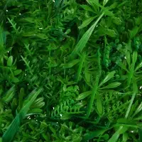 Декоративная панель, 60&times;40 см, &laquo;Сочная трава&raquo;, Greengo