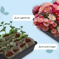 Ящик для рассады, 35&times;30&times;9 см, 6.5 л, пластик, чёрный