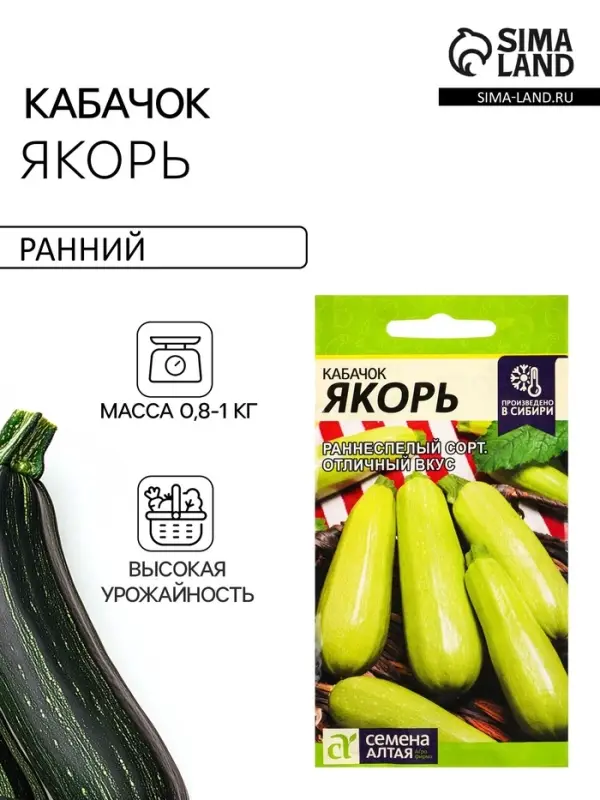 Семена Кабачок &laquo;Якорь&raquo;, 2 г, &laquo;Семена Алтая&raquo;