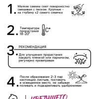 Семена цветов Обриета "Кемпбелл", ц/п,  крупноцветковая, 0,05 г Семена цветов Обриета "Кемпбелл", ц/п,  крупноцветковая, 0,05 г