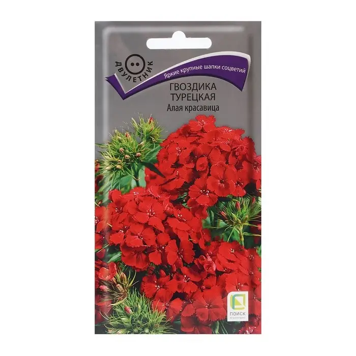 Семена цветов Гвоздика Турецкая Семена цветов Гвоздика Турецкая "Алая красавица" 0,5 г