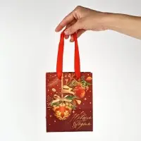 Набор пакетов ламинированных «Чудесного праздника!» Набор пакетов ламинированных «Чудесного праздника!»