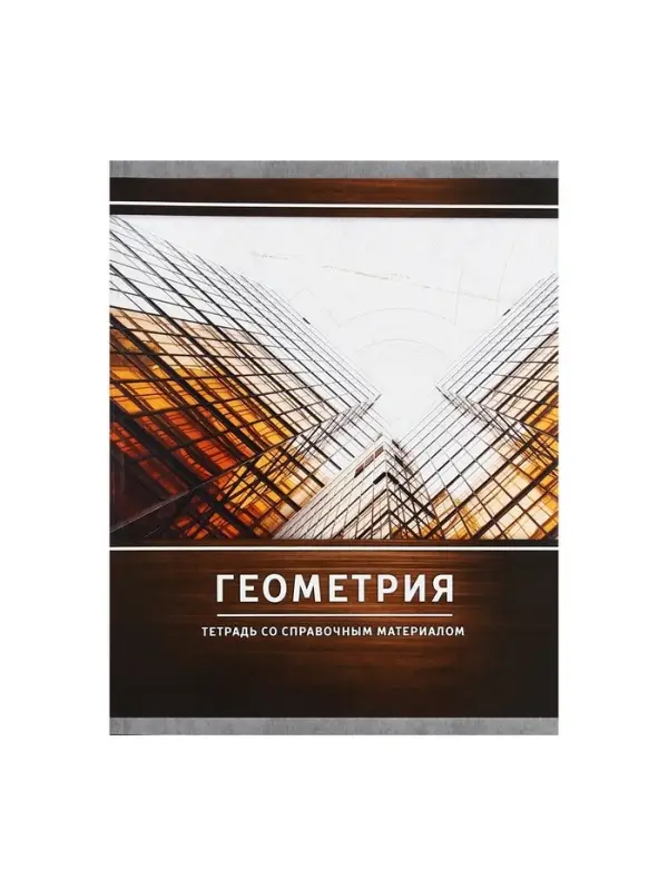 Предметная тетрадь по геометрии Calligrata &laquo;Металл&raquo;, 48 листов, в клетку, со справочным материалом, обложка из мелованного картона