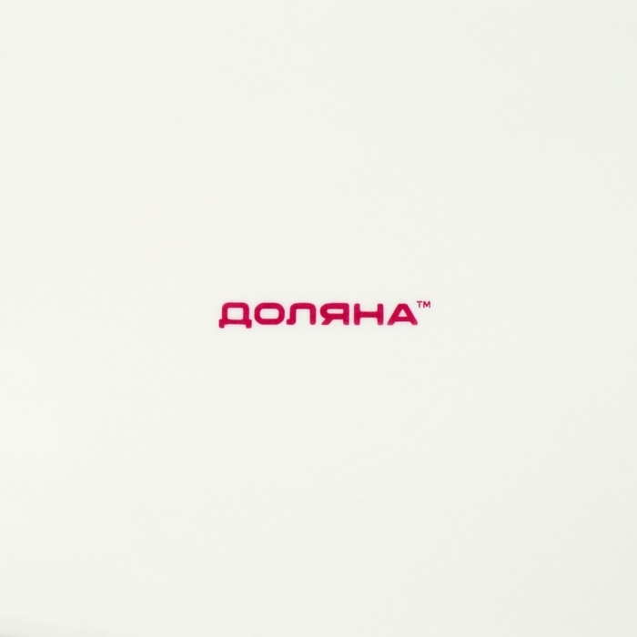 Блюдо фарфоровое сервировочное Доляна «Коты-аристократы», 30×18,5 см, цвет белый