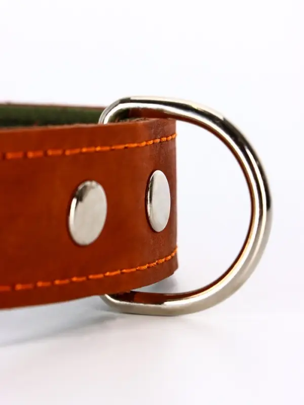 Ошейник комбинированный, безразмерный, 65&times;3.5 см, ОШ 31-61 см, кожа, брезент, коричневый