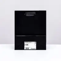 Пакет подарочный ламинированный «Чёрный», S 12×15×5.5 см Пакет подарочный ламинированный «Чёрный», S 12×15×5.5 см