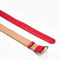 Ремень жен 06-01-02-01, Июнь2504, 3,2*0,3*110 см, без винта, пряж металл, 1 прокол, красный 109031 Ремень жен 06-01-02-01, Июнь2504, 3,2*0,3*110 см, без винта, пряж металл, 1 прокол, красный 109031