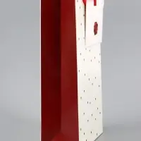 Пакет подарочный ламинированный &laquo;Важный момент&raquo;, 22.3&times;9&times;35 см