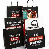 Набор пакетов подарочных новогодних &laquo;Так тебе и надо&raquo;, 6 шт., 22&times;22&times;11 см