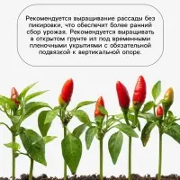 Семена Перец, &laquo;Каптур&raquo;, F1, 5 шт., Seminis, &laquo;Агрос&raquo;