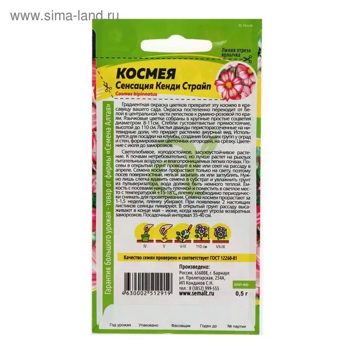 Семена цветов Космея  Семена цветов Космея "Сенсация" Кенди Страйп, О, ц/п, 0,5 г