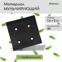 Материал мульчирующий, с перфорацией, 5 × 1,6 м, плотность 80 г/м², спанбонд с УФ-стабилизатором, чёрный, Greengo, Эконом 30%