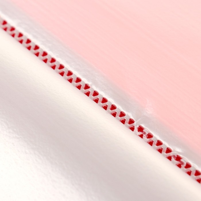 Папка с 20 вкладышами А5, 500 мкм, Calligrata, 9 мм, карман на корешке, красная Папка с 20 вкладышами А5, 500 мкм, Calligrata, 9 мм, карман на корешке, красная