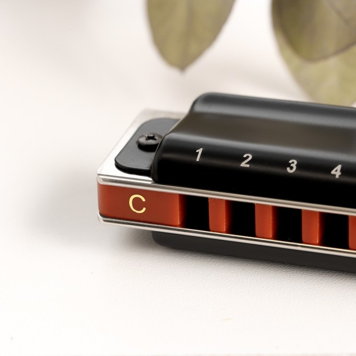 Губная гармошка Music Life T008L  C диатоническая, 10 отверстий, с футляром Губная гармошка Music Life T008L  C диатоническая, 10 отверстий, с футляром