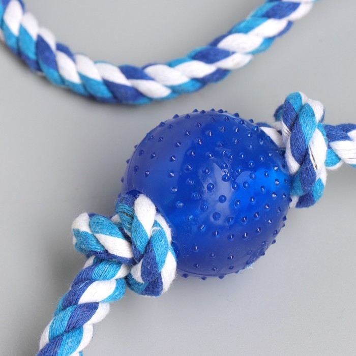 Игрушка-дразнилка для собак с мячиком, 95 г, до 54 см, микс цветов Игрушка-дразнилка для собак с мячиком, 95 г, до 54 см, микс цветов