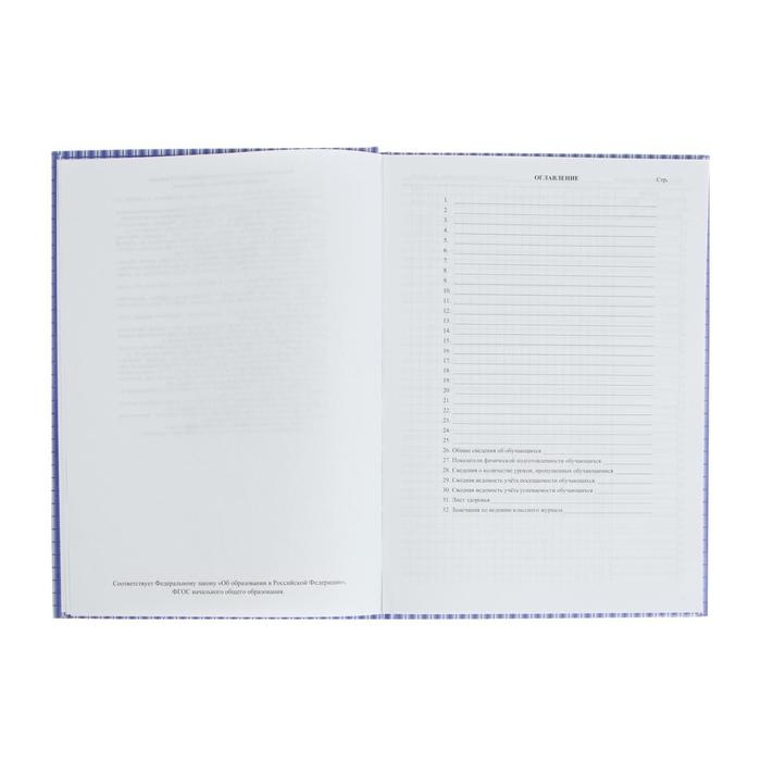 Классный журнал для 1-4 классов А4, 128 страниц, твердая ламинированная обложка, блок офсет 65г/м2