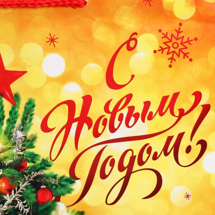 Пакет подарочный новогодний ламинированный «Золото и снежинки», L 28 х 38 х 9 см Пакет подарочный новогодний ламинированный «Золото и снежинки», L 28 х 38 х 9 см