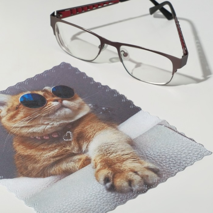 Салфетка для очков TAO9 «Кот в очках» 15×18 см, цвет бежевый Салфетка для очков TAO9 «Кот в очках» 15×18 см, цвет бежевый