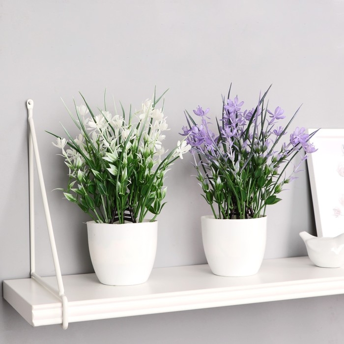 Бонсай в горшке "Цветник с осокой" 9х23 см, микс