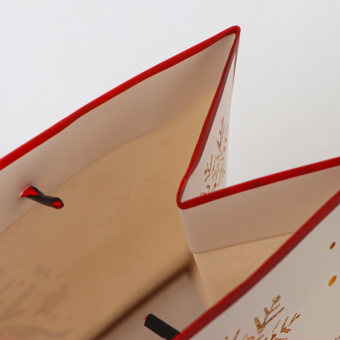 Пакет ламинированный «Время чудес!», MS 23 × 18 × 10 см Пакет ламинированный «Время чудес!», MS 23 × 18 × 10 см