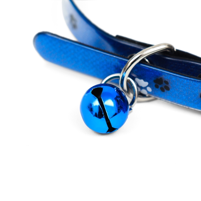 Ошейник Ошейник "Верный пёс", 30 х 1 см, микс цветов