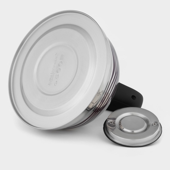 Чайник со свистком из нержавеющей стали Доляна «Волна», 2,8 л, с индикатором нагрева, фиксированная ручка