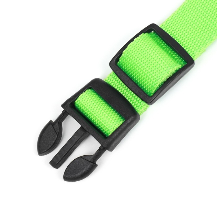 Ошейник с подсветкой Двойная полоса размер S, ОШ 35-43 х 2,5 см, 3 режима свечения зелёный Ошейник с подсветкой Двойная полоса размер S, ОШ 35-43 х 2,5 см, 3 режима свечения зелёный