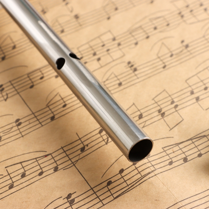 Флейта Music Life 304, 46 см, нержавеющая сталь, тональность G Флейта Music Life 304, 46 см, нержавеющая сталь, тональность G