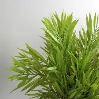 Искусственный цветок в горшке &laquo;Хамедорея экстра&raquo;, 8&times;24 см, МИКС