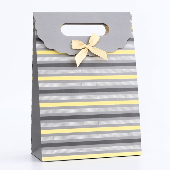 Подарочная коробка-пакет, упаковка с вырубной ручкой, Подарочная коробка-пакет, упаковка с вырубной ручкой, "Прямые линии" , 19 х 9 х 27 см
