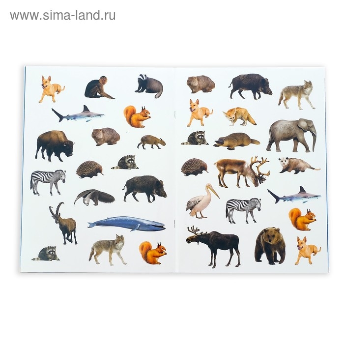 Наклейки «Мои первые энциклопедии», набор 4 шт. по 8 стр., формат А4 Наклейки «Мои первые энциклопедии», набор 4 шт. по 8 стр., формат А4