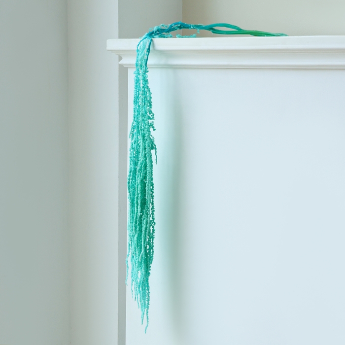 Сухие цветы амаранта, 100 г, размер листа: от 50 до 60 см, цвет голубой Сухие цветы амаранта, 100 г, размер листа: от 50 до 60 см, цвет голубой