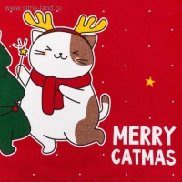 Полотенце "Доляна" Merry catmas 35х60 см,100% хлопок 160 г/м2