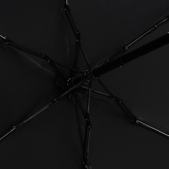 Зонт женский механический «Золотые перья», 8 спиц, d=95, цвет чёрный Зонт женский механический «Золотые перья», 8 спиц, d=95, цвет чёрный