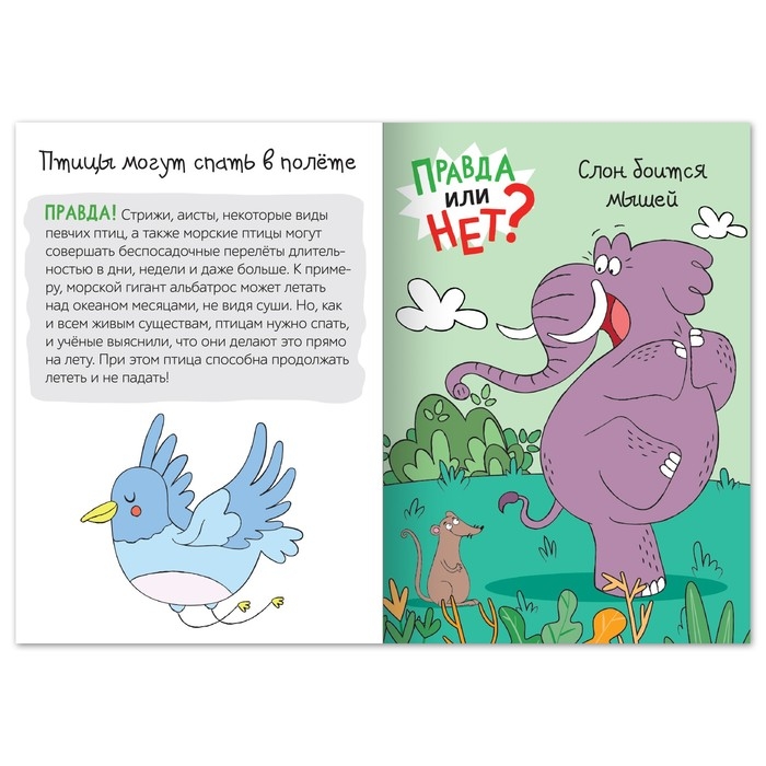 Обучающая книга «Правда или нет? Мир животных», 44 стр. Обучающая книга «Правда или нет? Мир животных», 44 стр.
