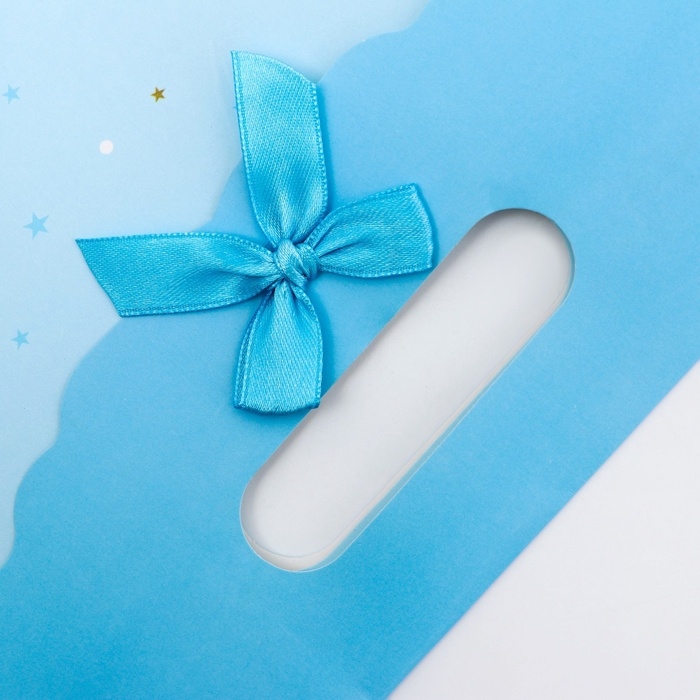 Подарочная коробка-пакет, упаковка с вырубной ручкой, Подарочная коробка-пакет, упаковка с вырубной ручкой, "Голубая грация" , 24 х 12 х 31 см