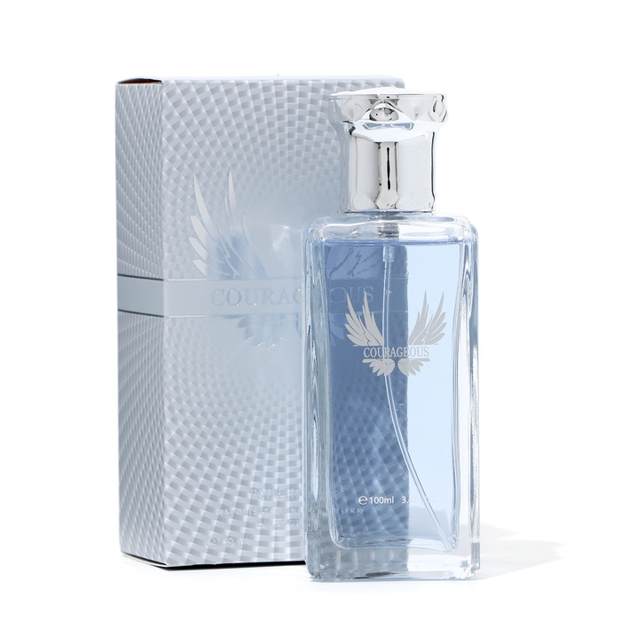 Туалетная вода мужская Courageous, 100 мл Туалетная вода мужская Courageous, 100 мл