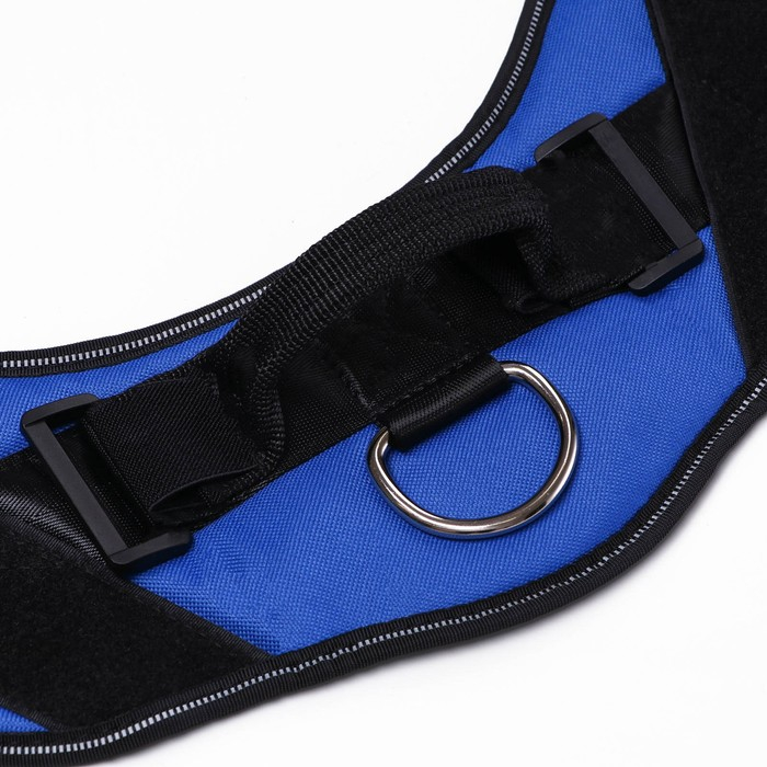 Шлейка К9 мягкая светоотражающая, размер M, ОГ 55-65 см, вес 11-20 кг, синяя Шлейка К9 мягкая светоотражающая, размер M, ОГ 55-65 см, вес 11-20 кг, синяя