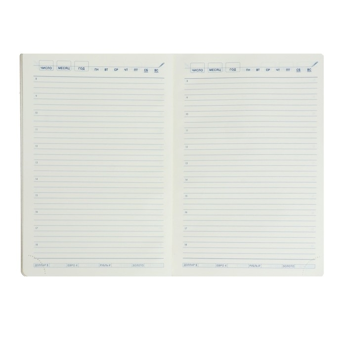 Ежедневник недатированный А5, 140 листов в клетку, с калькулятором, с хлястиком, обложка кожзам, МИКС Ежедневник недатированный А5, 140 листов в клетку, с калькулятором, с хлястиком, обложка кожзам, МИКС