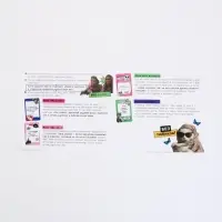 Настольная игра для тигриц "Women момэнт" Настольная игра для тигриц "Women момэнт"