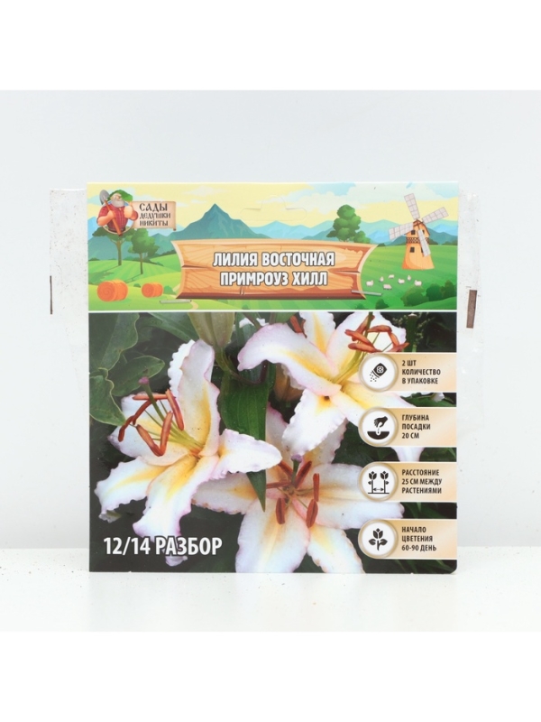 Лилия Восточная Primrose Hill, луковица в пакете с перфорацией, р-р 12/14, 2 шт.