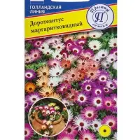 Семена цветов Доротеантус маргаритковый Смесь, О, 0,1 г