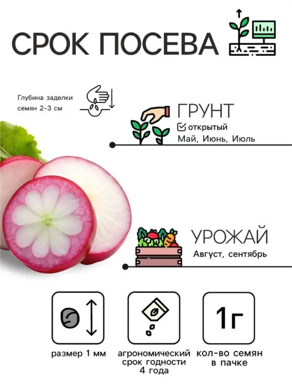 Семена Редька &laquo;Чудо-Лекарь&raquo;, 1 г, &laquo;Семена Алтая&raquo;