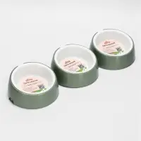 Лего-миска для животных &laquo;Фокси&raquo;, 300 мл, с наклоном, пластик, цвет фисташковый