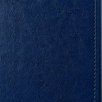 Ежедневник недатированный синий,А5,143х210мм,180л,ATTACHE MAGNET
