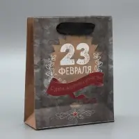 Пакет подарочный крафтовый, упаковка, «С 23 февраля», 12 х 15 х 5.5 см