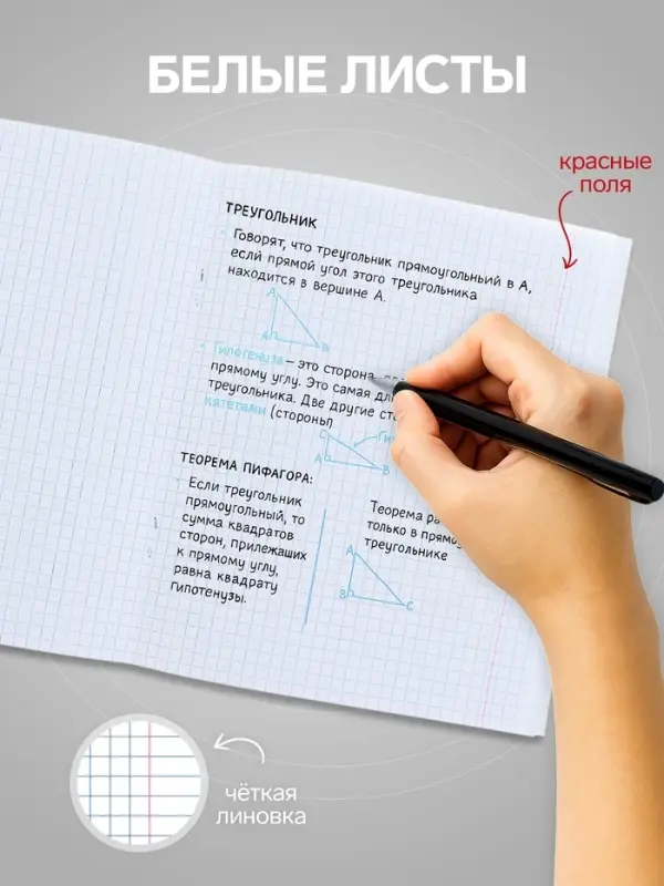 Тетрадь 96 листов в клетку, Calligrata &laquo;Неон&raquo;, МИКС