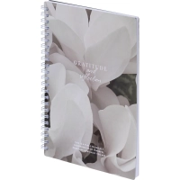 Бизнес-тетрадь, BS, А5, 80л., точка, спираль. Botanica, цикламен N4191